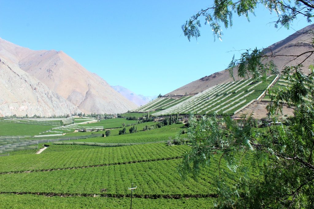 Valle del Elqui La Serena