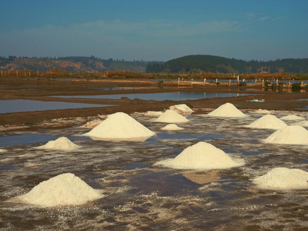 Imagen referencial Pichilemu