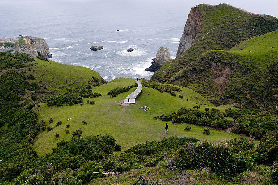Si vas a Castro te recomendamos recorrer el Parque Nacional Chiloé, un santuario natural que tiene muchos senderos e instalaciones donde descansar y disfrutar. Además en la zona hay servicios de hospedaje y restaurantes para conocer la gastronomía típica de la zona. Si lo que buscas es deleitar tu vista con paisajes de ensueño en compañía del sonido de aves y otras especies nativas, te invitamos a conocer este parque.