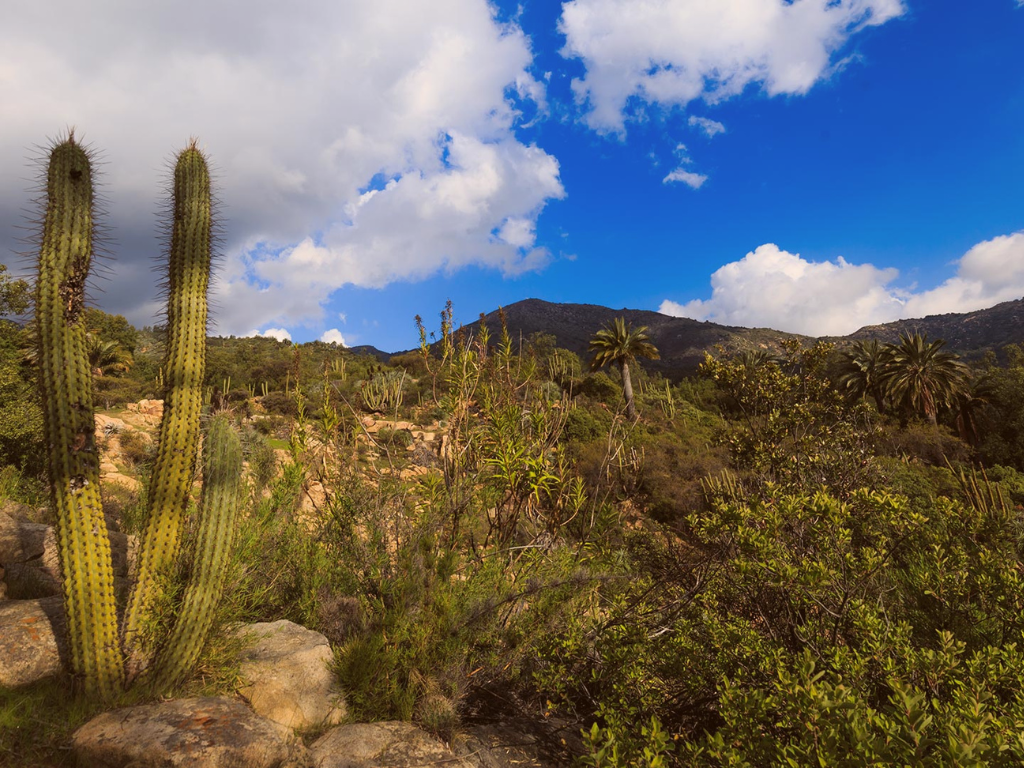 Imagen referencial de Parques Nacionales del centro de Chile