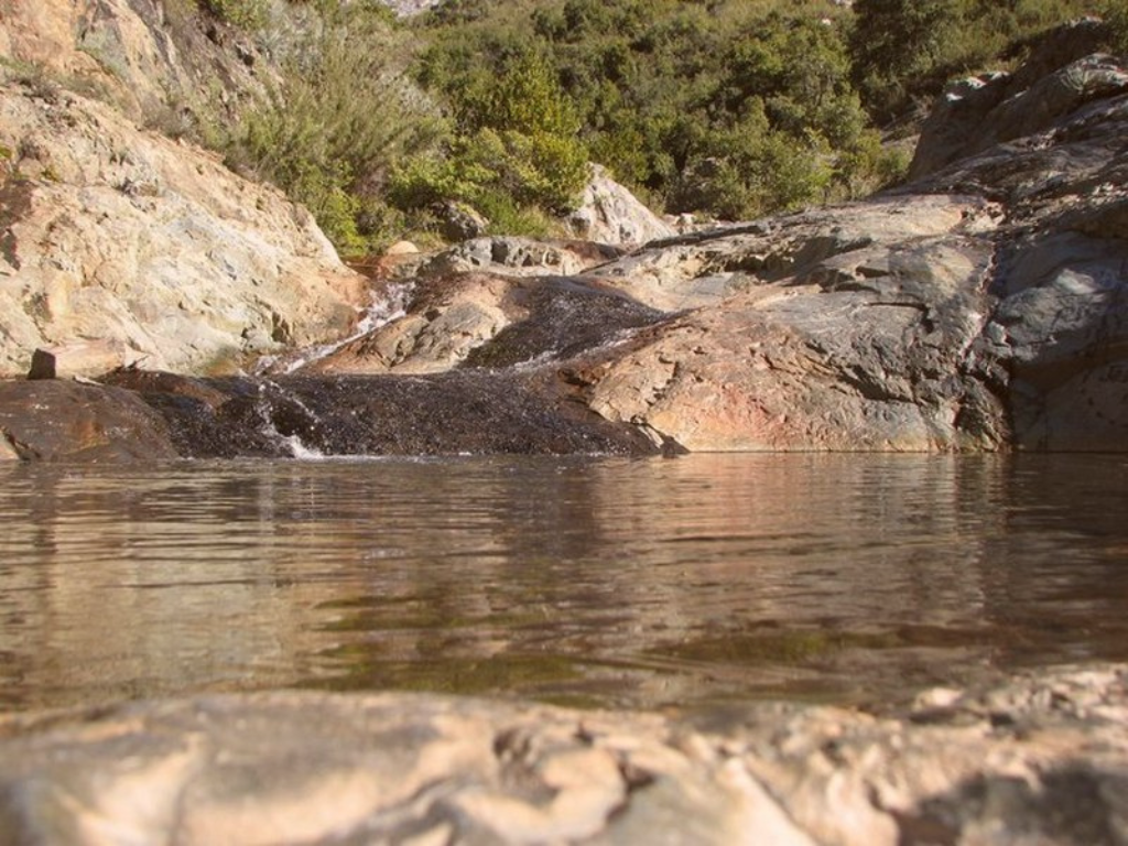 Imagen referencial de Parques Nacionales del centro de Chile