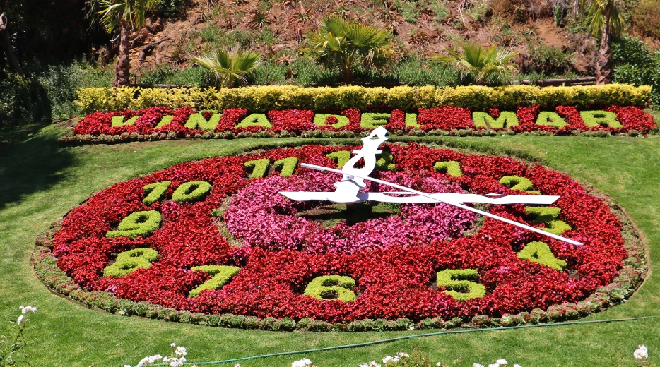 VIña del Mar Reloj de Flores