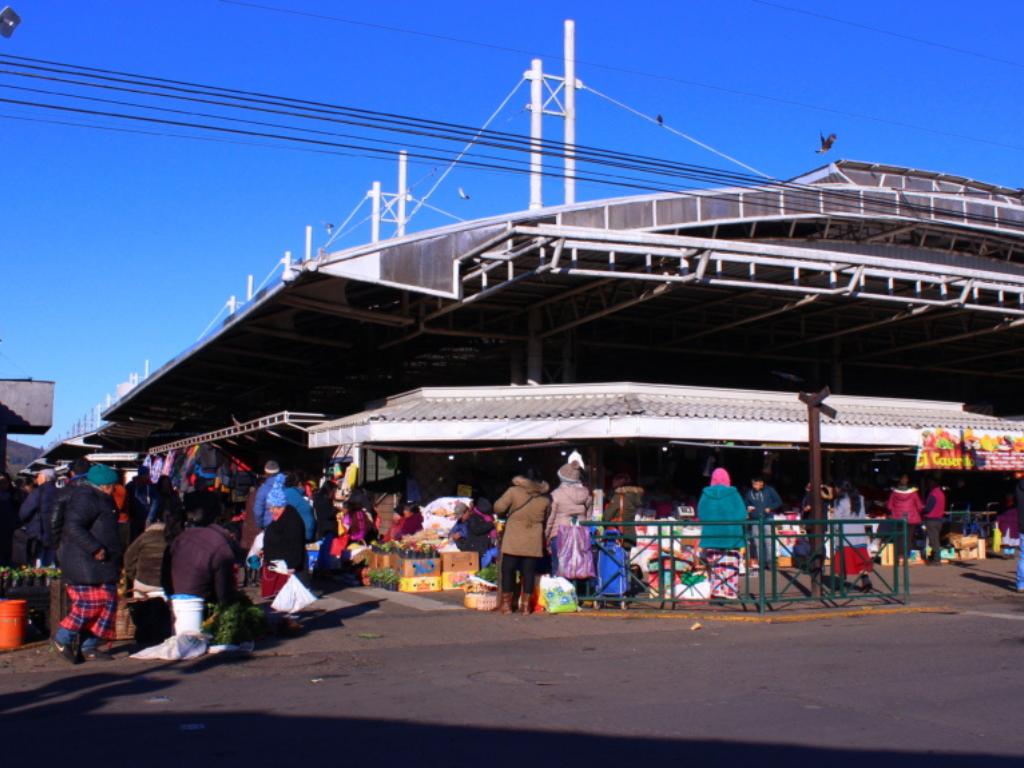 Imagen referencial de atracciones turísticas en Temuco